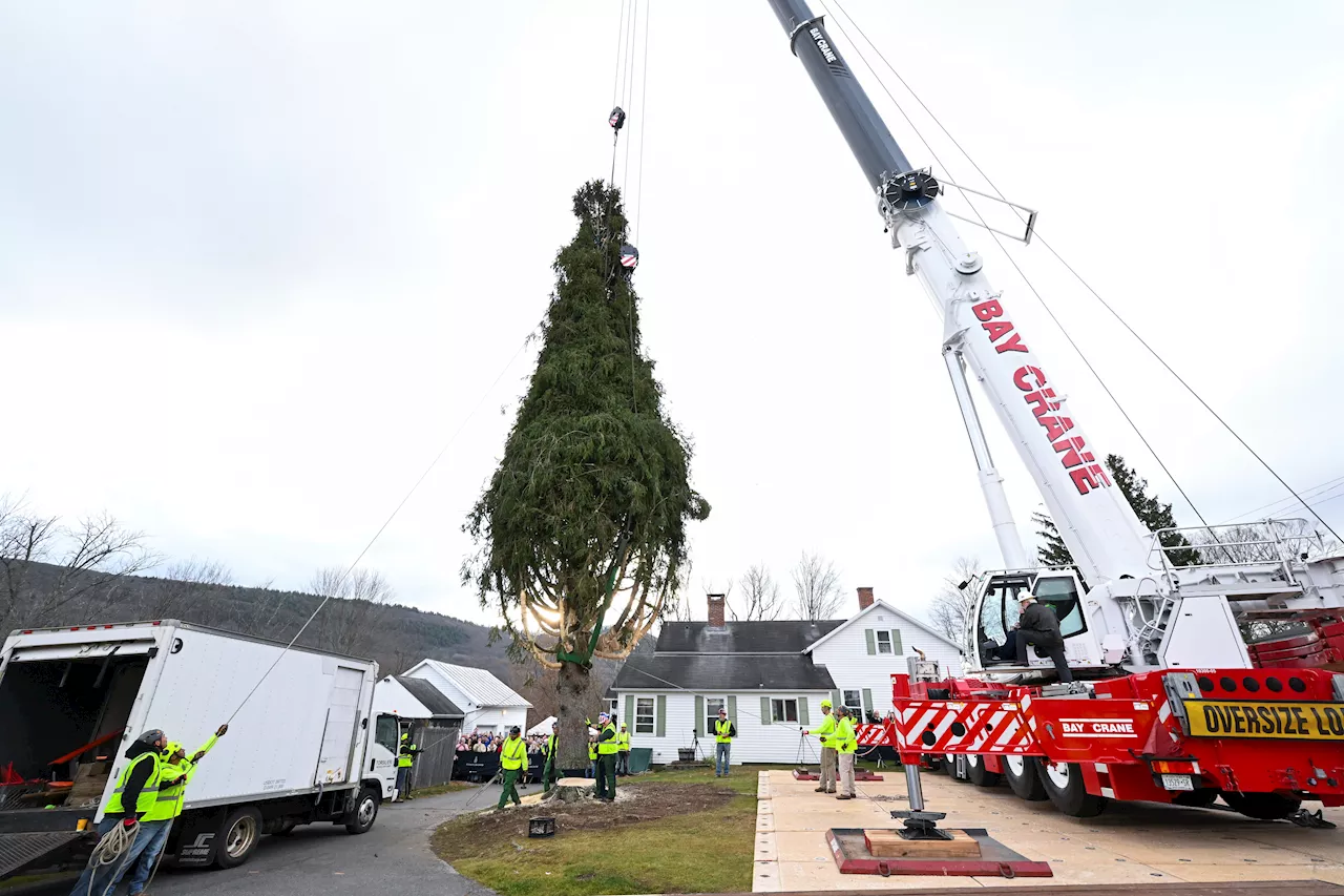 Rockefeller Center Christmas Tree arrives in NYC for the holiday season