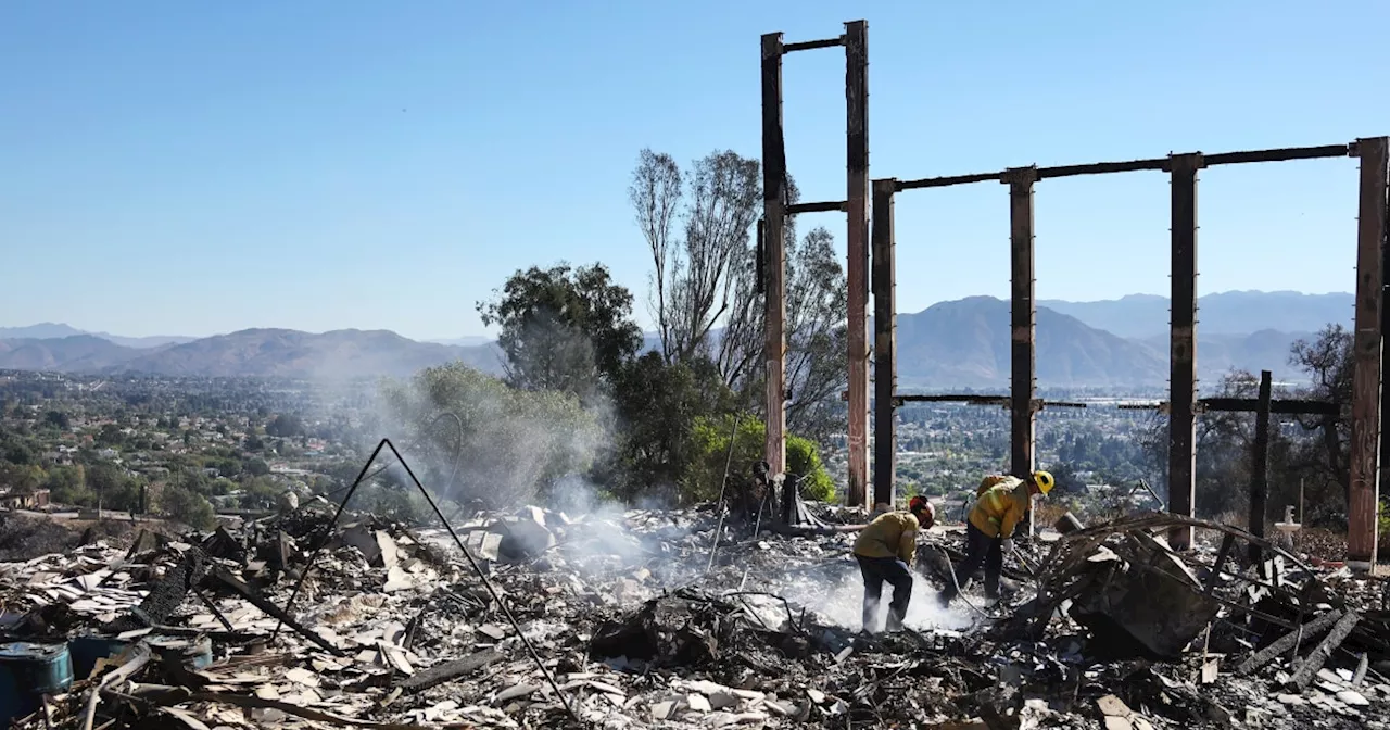 Calmer winds help firefighters make progress against California's Mountain Fire