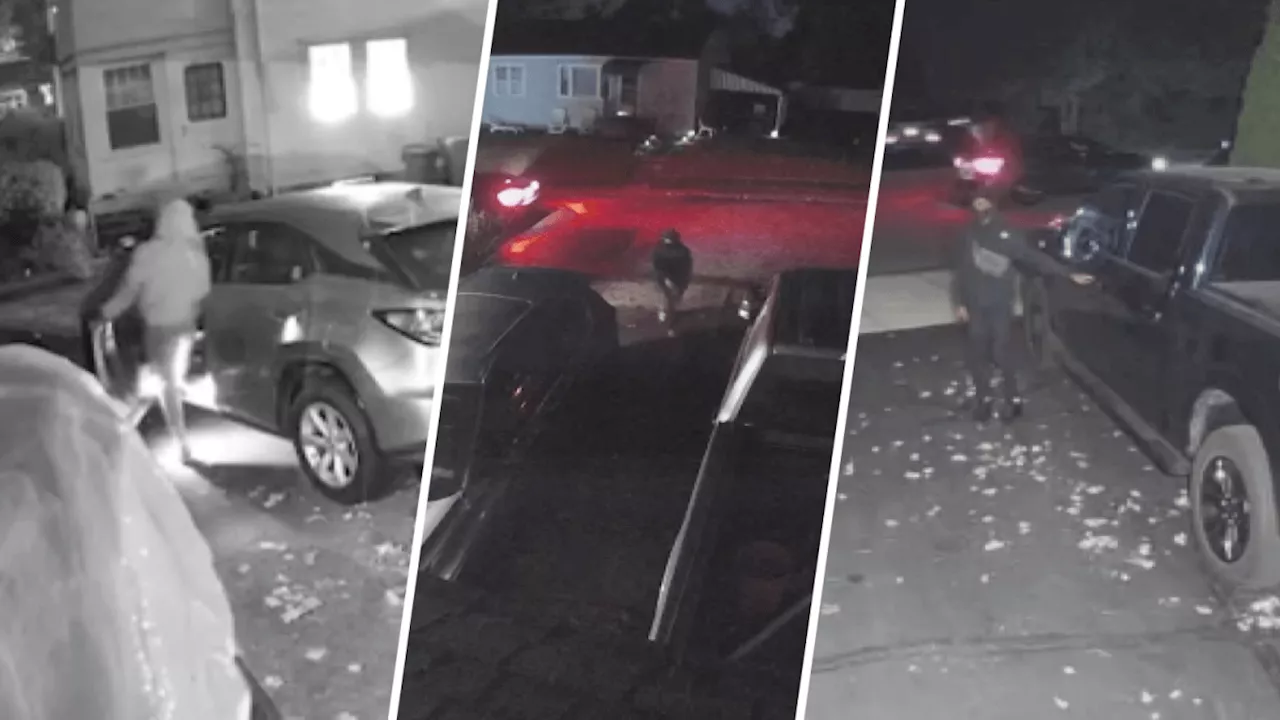 Caught on camera: Armed thieves breaking into cars parked in driveways