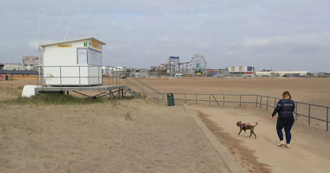 Lincolnshire coast dog ban renewed to protect beaches