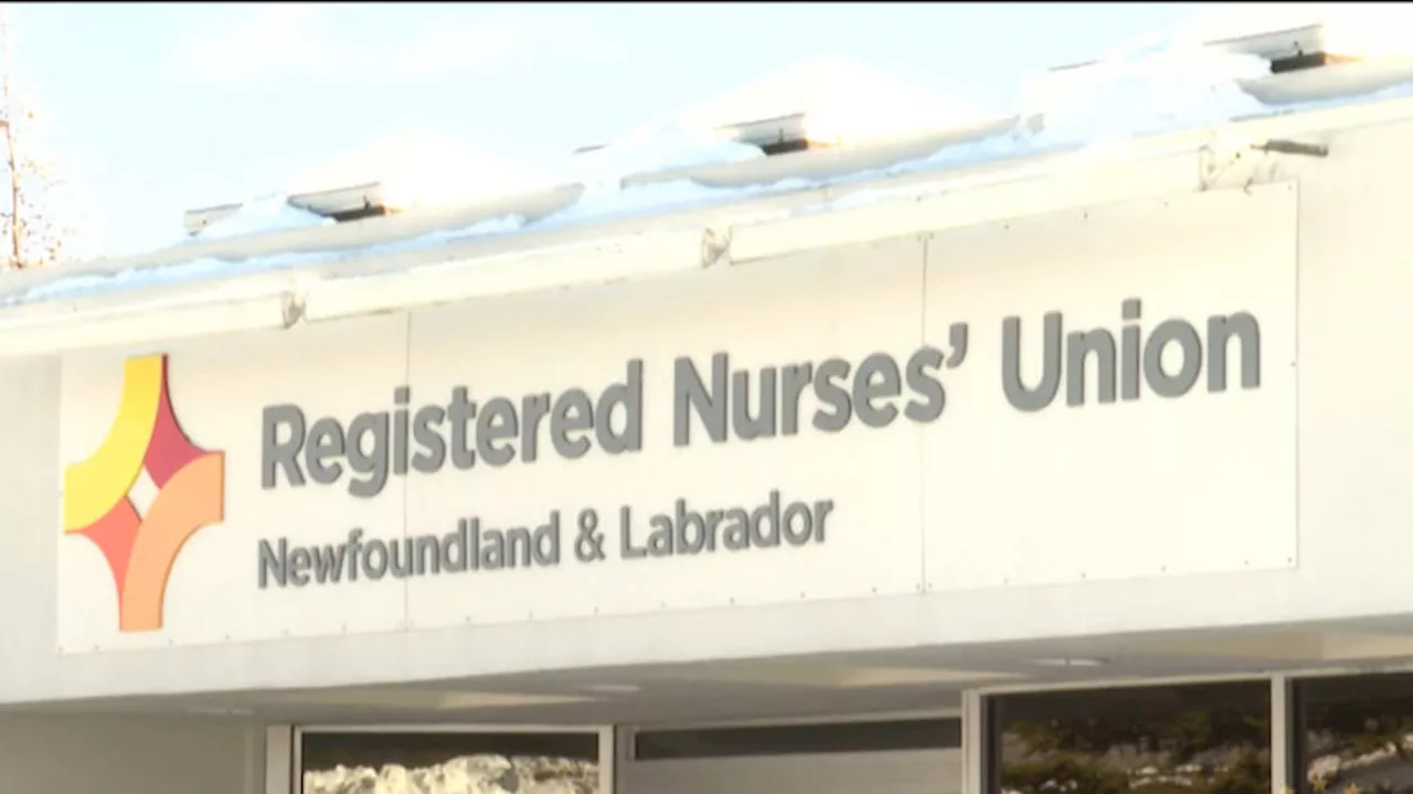 Only three out of 121 grads offered jobs despite critical nursing shortage, says union