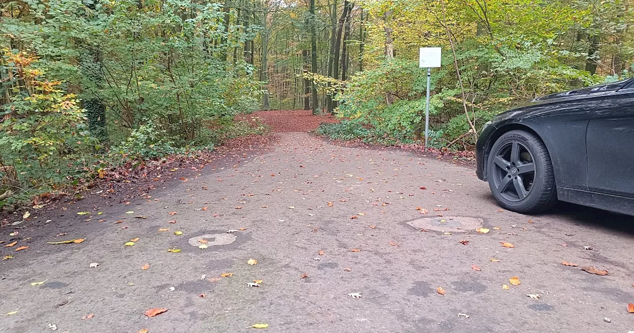 Schildbürgerstreich? Poller-Posse in Bünder Naturschutzgebiet geht in nächste Runde