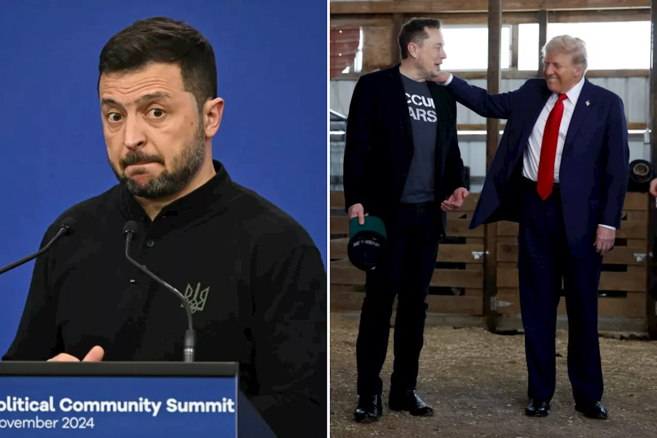 Elon Musk joined Trump's call with Zelensky, who was surprised billionaire was on line: report