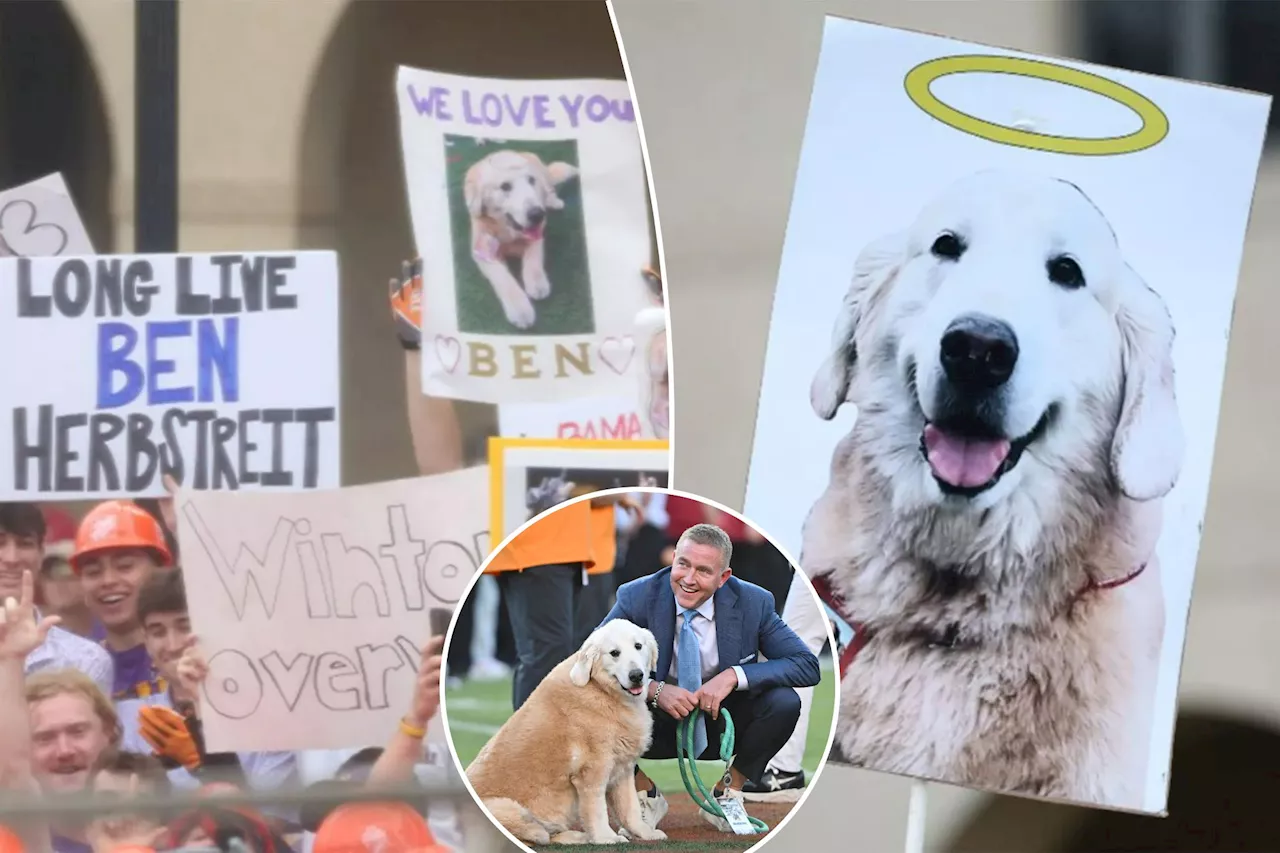 Fans pay tribute to Kirk Herbstreit's dog, Ben, with heartfelt 'College GameDay' signs