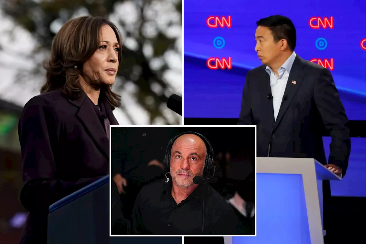 Kamala Harris committed 'political malpractice' by not going on Joe Rogan podcast, Andrew Yang says