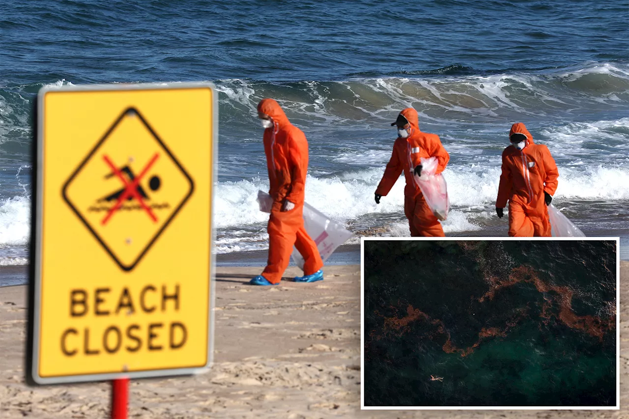 Mysterious black balls on Sydney beaches revealed to be mini blobs of poop: 'Absolutely disgusting'