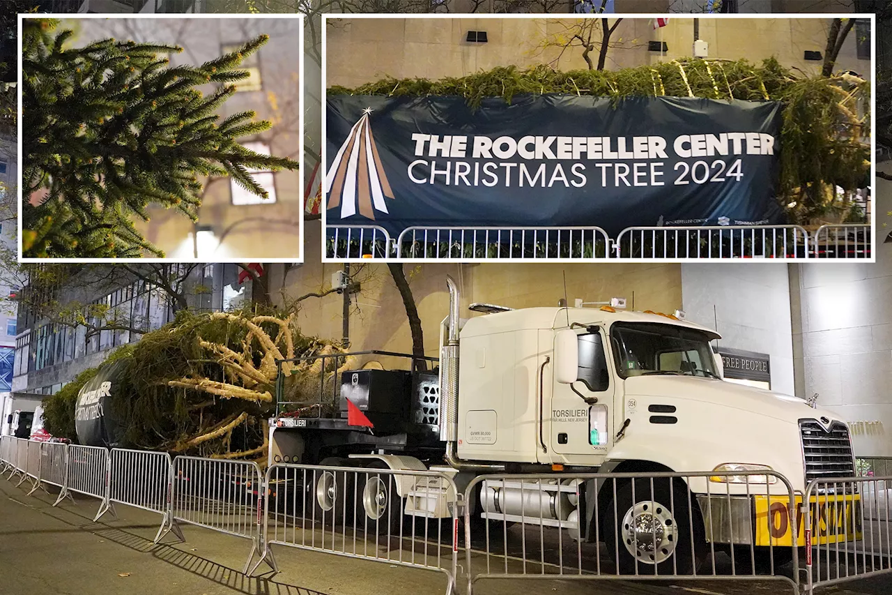 Rockefeller Center Christmas tree arrives in NYC -- marking 93rd year of Big Apple's most beloved tradition