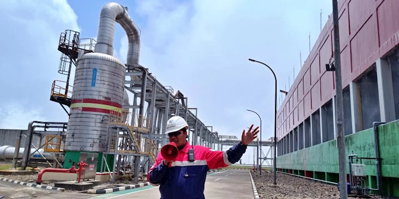 Dorong Energi Hijau, Geo Dipa Bidik Bauran Energi Panas Bumi Hingga 260 GW