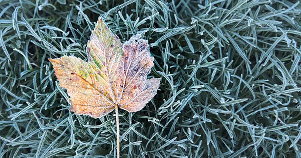 Met Eireann pinpoints temperature drop to -2C and arrival of frost