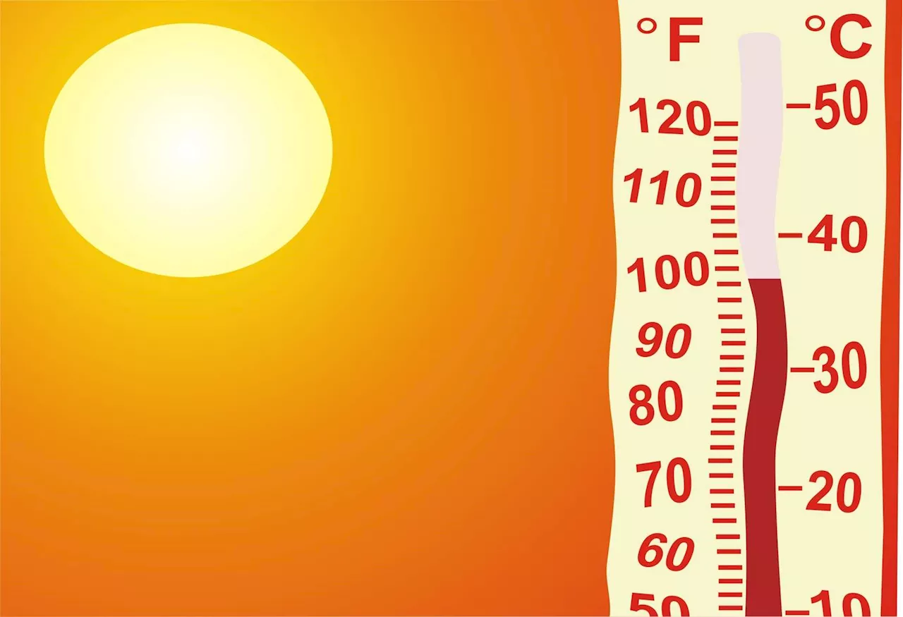 Chaleur, pollution de l'air, maladies : quand le changement climatique nuit gravement à la santé