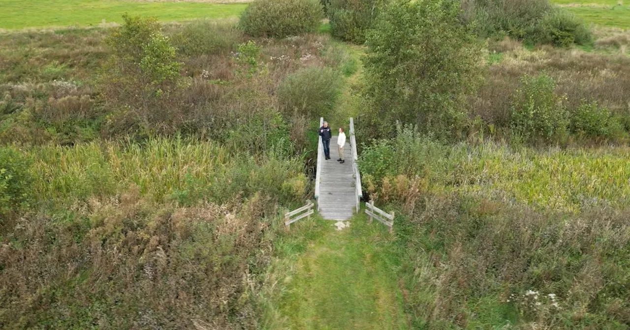 Herfstbloeiers in waterwingebied Annen-Breevenen