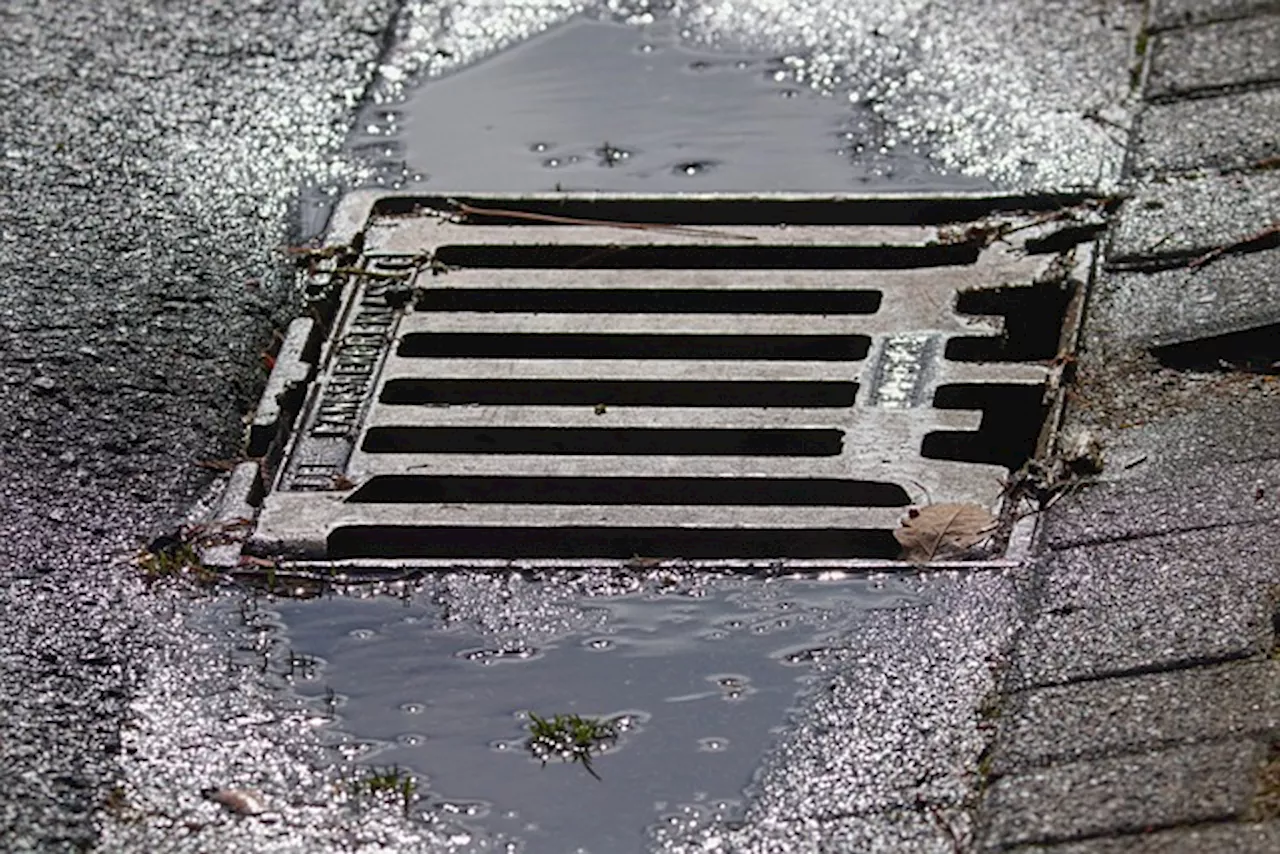 Mahikeng residents demand storm water drains amid heavy rains - SABC News - Breaking news, special reports,