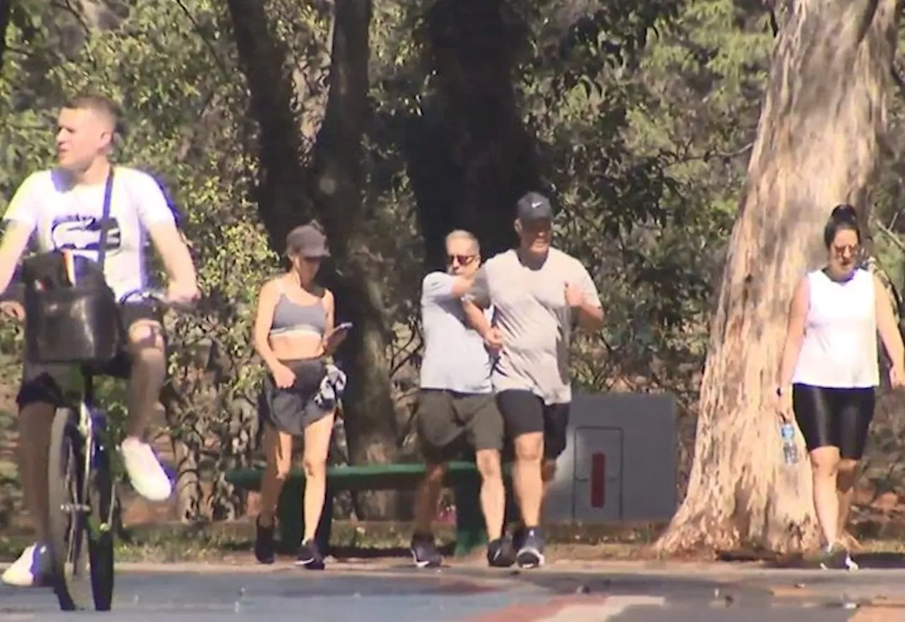 SP: Parque Ibirapuera passa a cobrar taxa de treinadores que promovem atividades com alunos