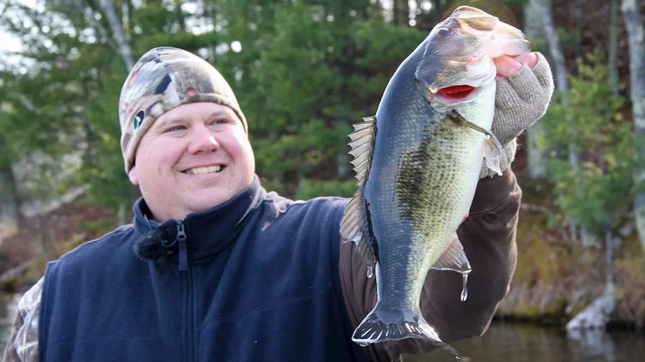 Understanding Bass Behavior in Late Fall