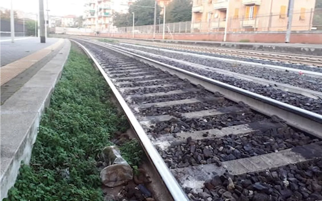 Capotreno schiaffeggiata da un passeggero nel Pavese