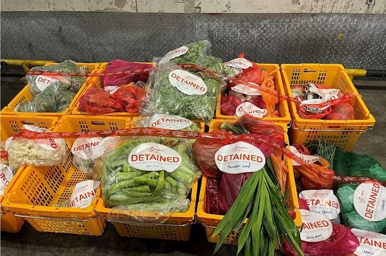 One tonne of illegally imported produce from Malaysia seized at Woodlands Checkpoint