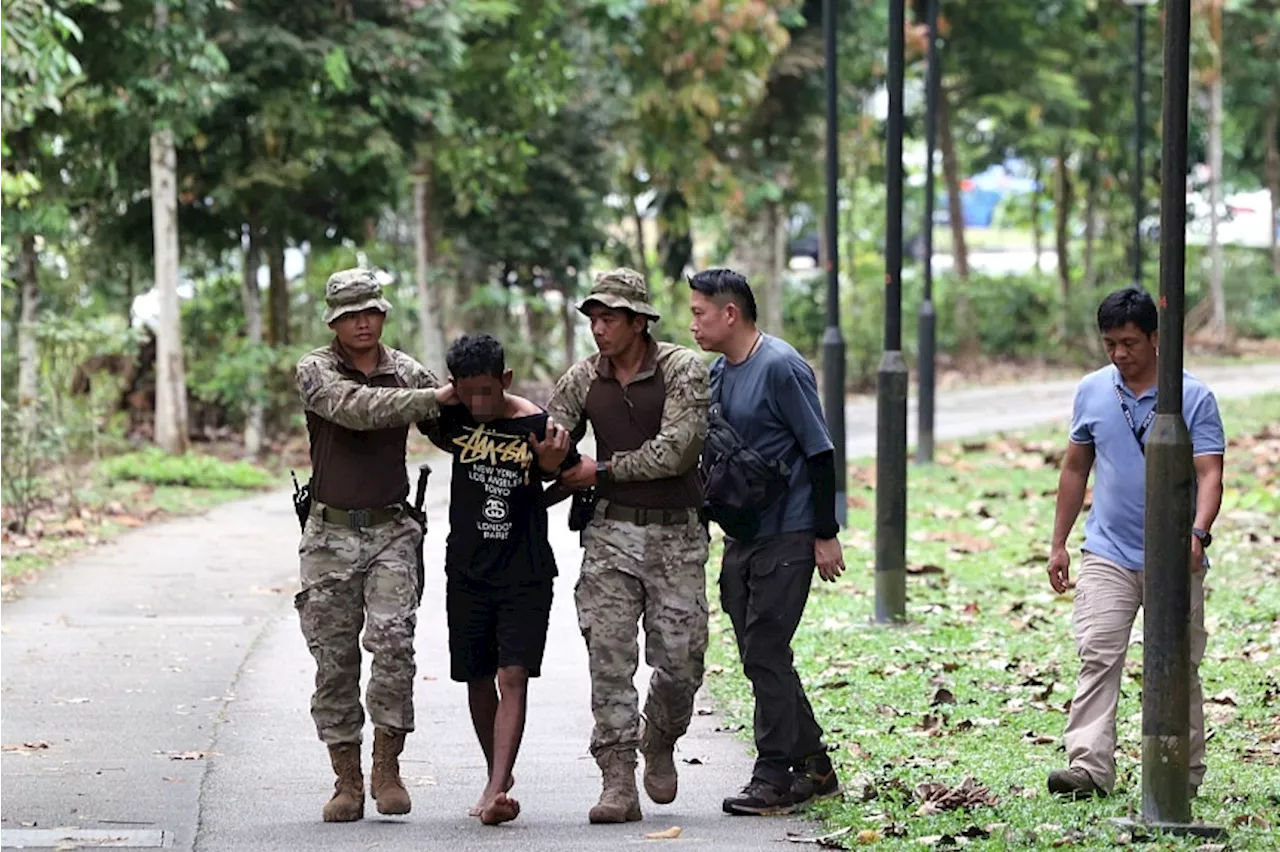 Man banned from entering Singapore among 5 arrested in forested area in Bukit Batok