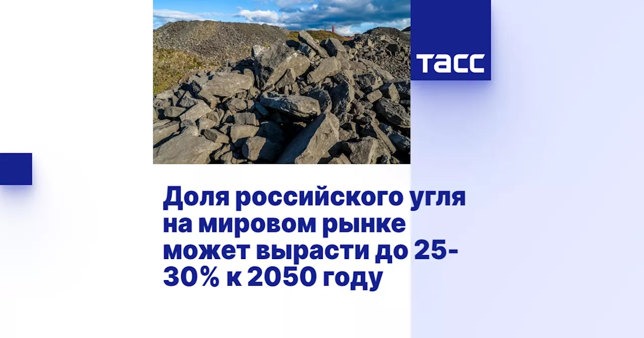 Доля российского угля на мировом рынке может вырасти до 25-30% к 2050 году