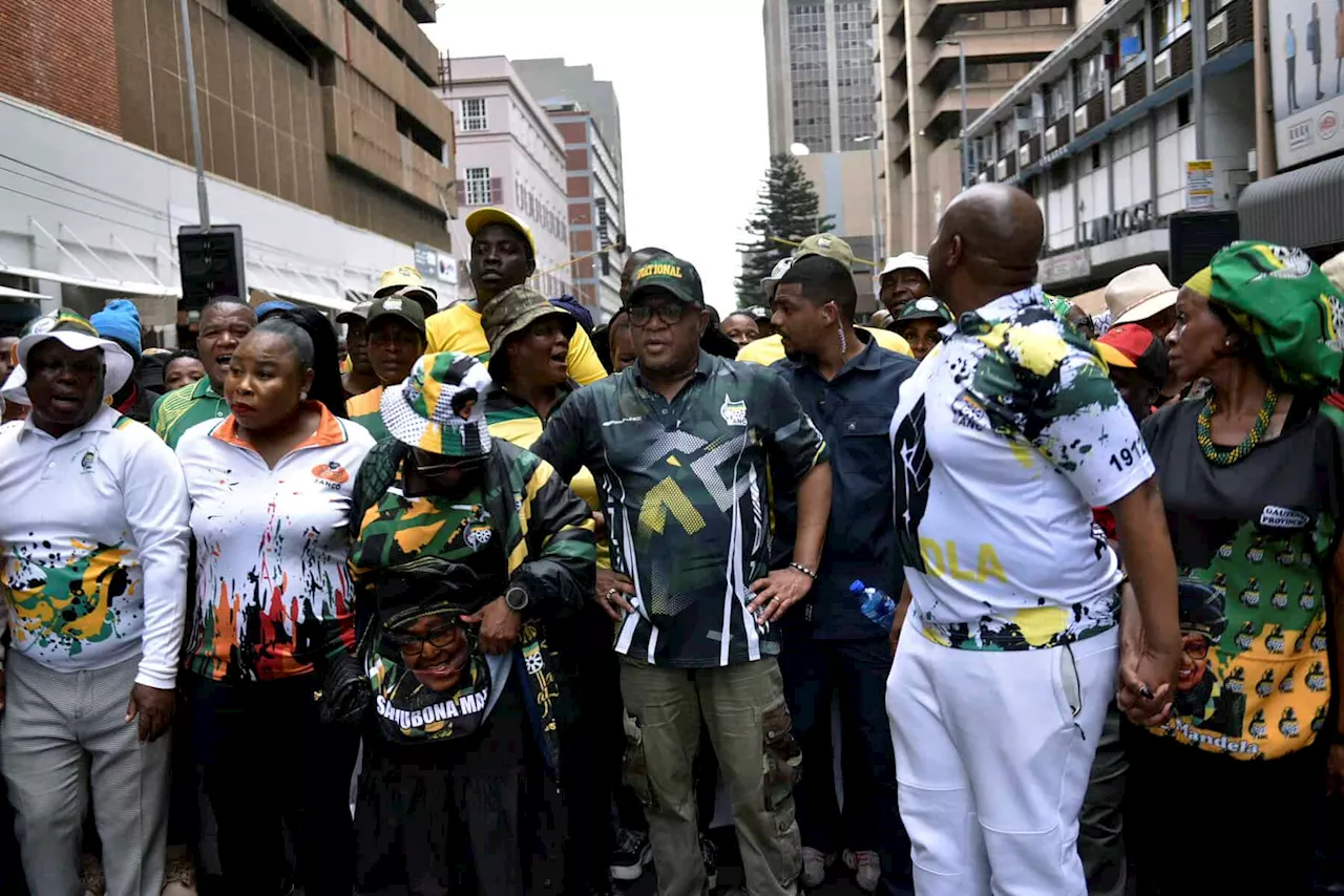 Mbalula leads ANC supporters in march for services in Tshwane