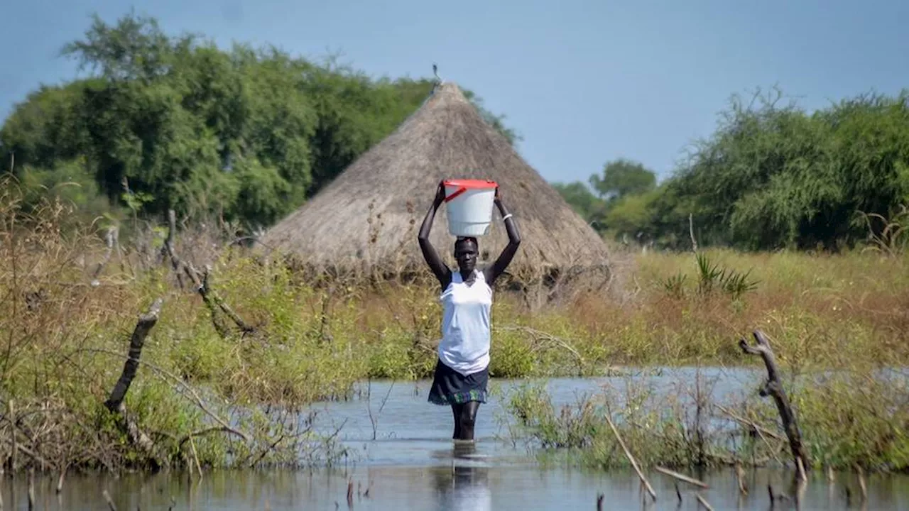 Floods in South Sudan affect 1.4 million, displace 379,000: UN