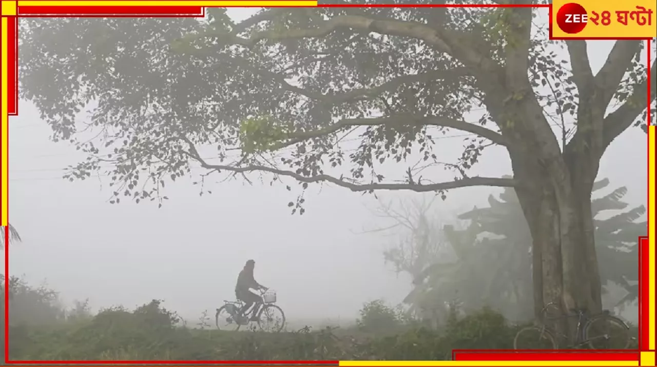 Bengal Weather Update: সাগরে ফুঁসছে ঝড়! এদিকে উদগ্রীব বাঙালি কবির মতোই সপ্রশ্ন শীতকাল কবে আসবে সুপর্ণা?