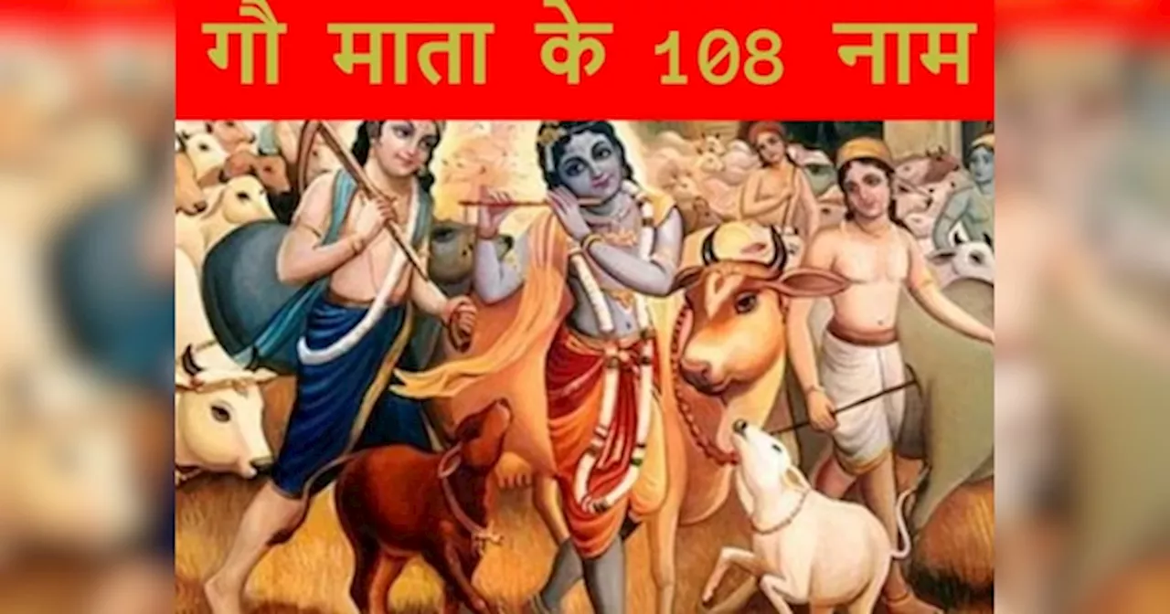 Gopashtami 2024: गोपाष्टमी के दौरान जपें गौ माता का नाम, यहां पढ़ें 108 नाम