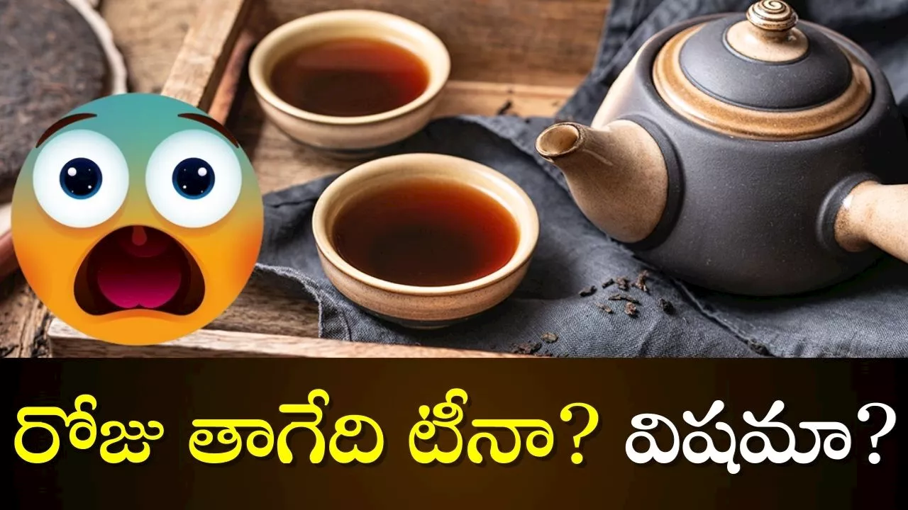 Tea Latest Side Effects: టీ అతిగా తాగుతున్నారా? హాస్పిటల్ ఖర్చులకు డబ్బులు సిద్ధం చేసుకోండి!