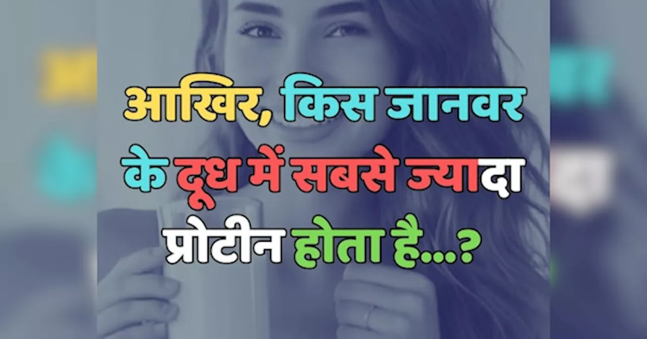 Trending Quiz : आखिर, किस जानवर के दूध में सबसे ज्यादा प्रोटीन होता है?