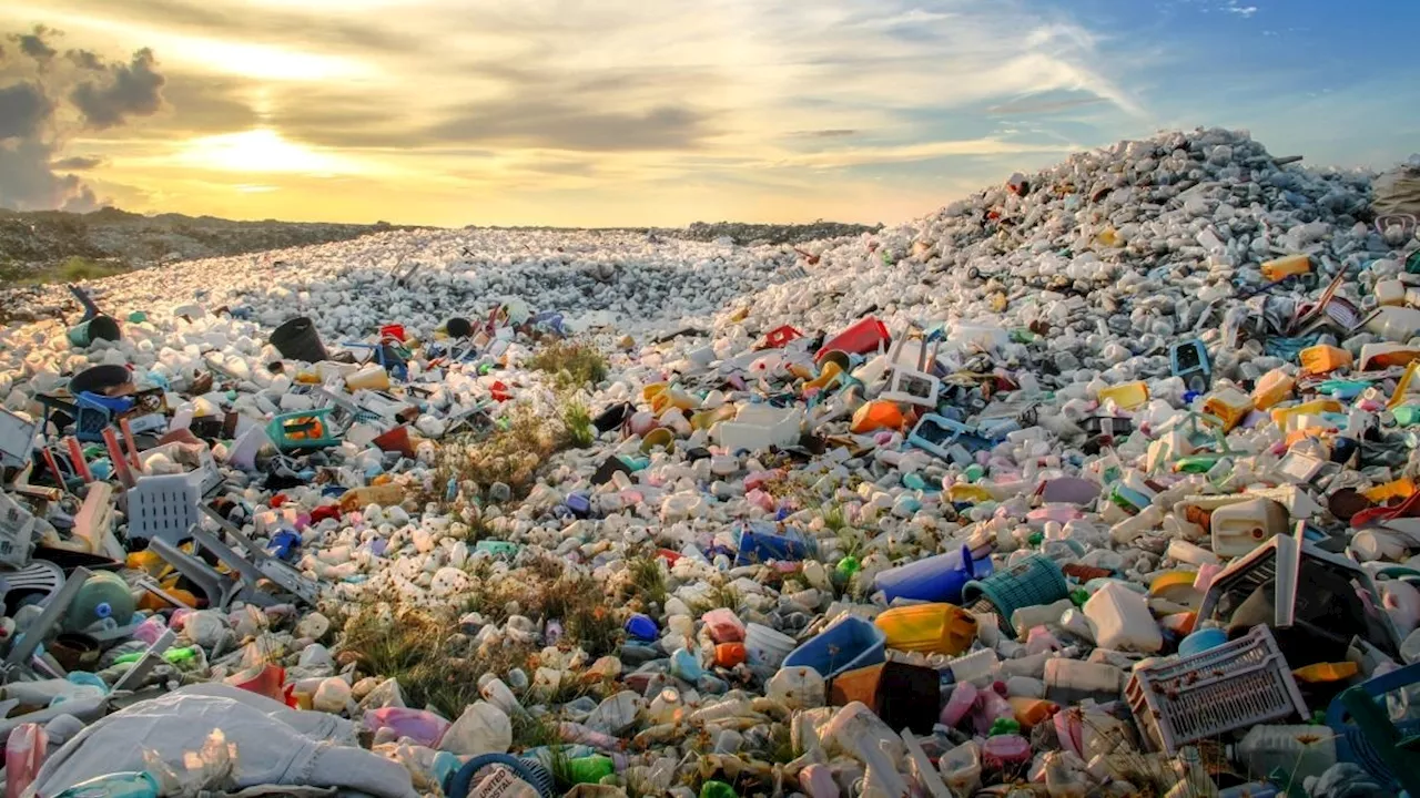 Plastik Zehirlenmesi Karşıtı Bir Anlaşmayı Son Haline Getirmek İçin Dünya Toplantısı Başarısız Oldu