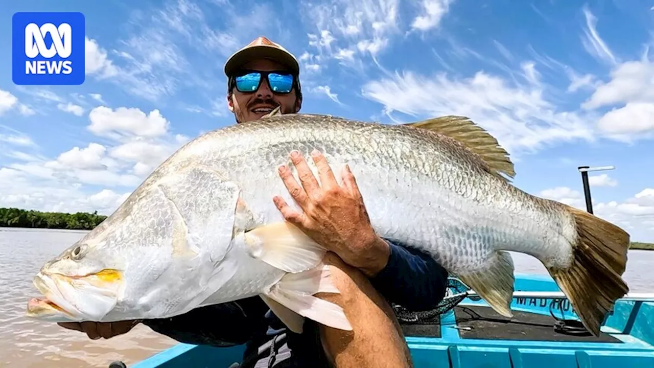 Best barramundi season on record for Rockhampton's Fitzroy River anglers