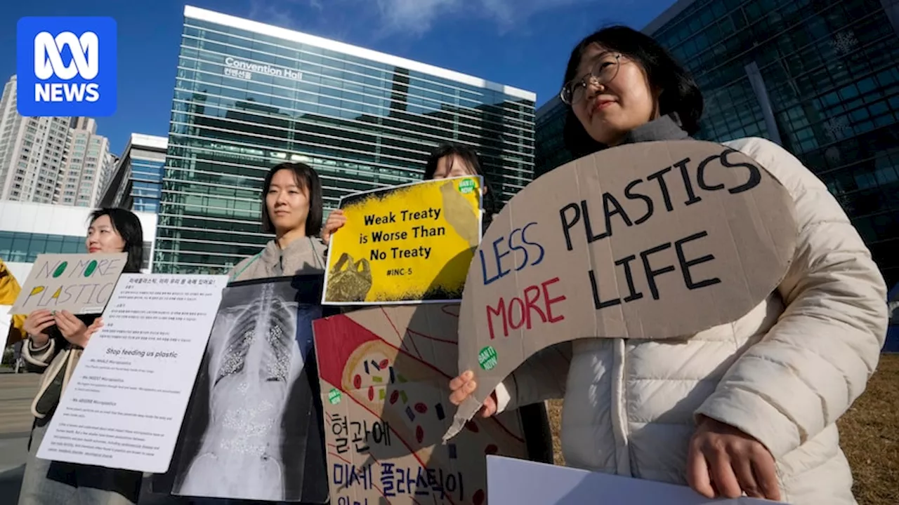 Countries fail to reach agreement on plastic pollution treaty at UN talks in South Korea