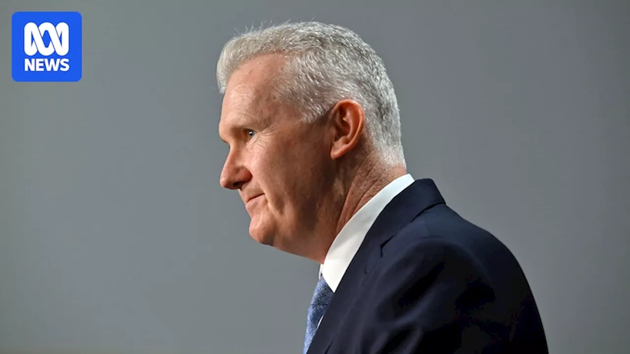 Tony Burke Explains Visa Denial for Former Israeli Minister