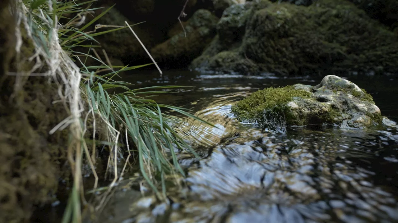 Hérault : le Département aux côtés des communes pour les problématiques liées à l’eau