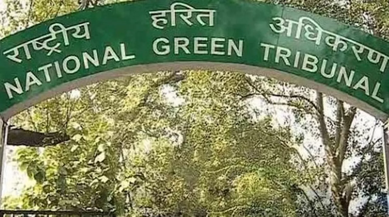 NGT: एनजीटी का आरोप- अधिकरण के काम में बाधा डाल रहा पर्यावरण मंत्रालय, एस्बेस्टस शीट के इस्तेमाल का मामला