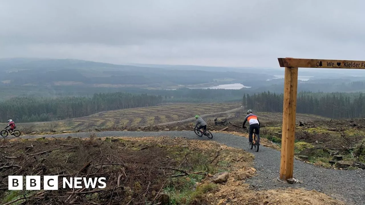 Kielder Forest cycle path reopens three years after Storm Arwen