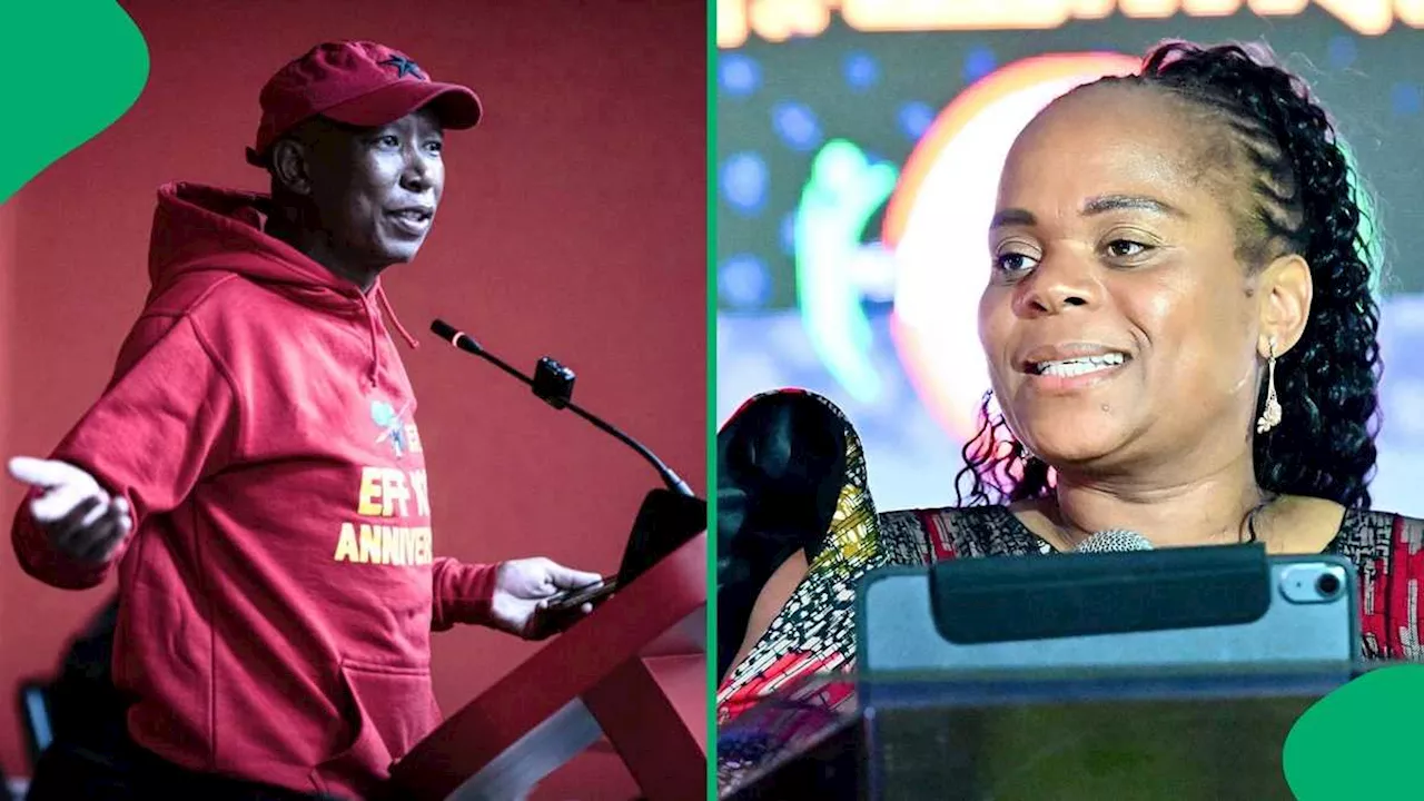 EFF President Julius Malema Praises Limpopo Premier Phophi Ramathuba