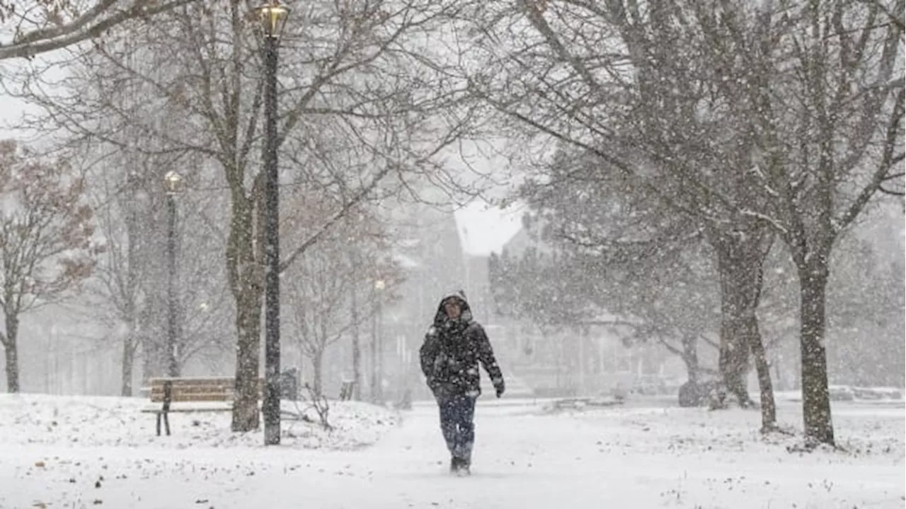 Snow squall warning, watch issued for Picton, Kingston area