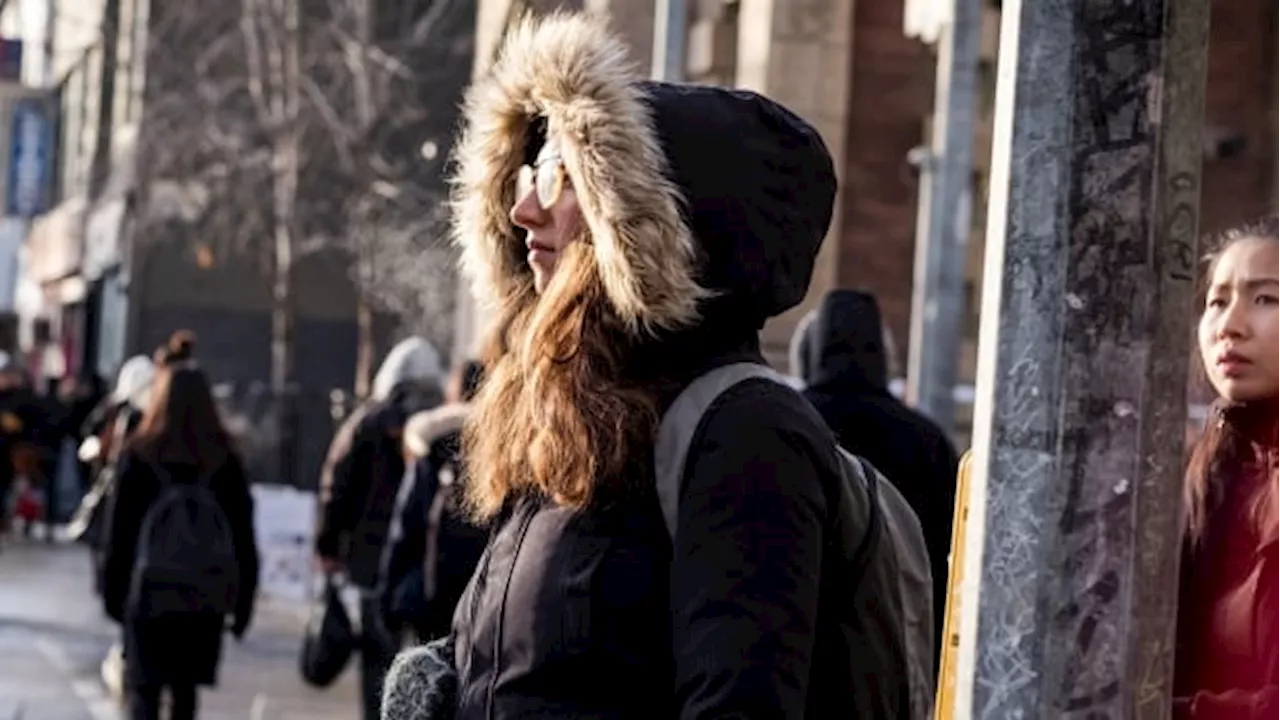 Toronto Opens Four Warming Centres as Temperatures Drop to -6 C