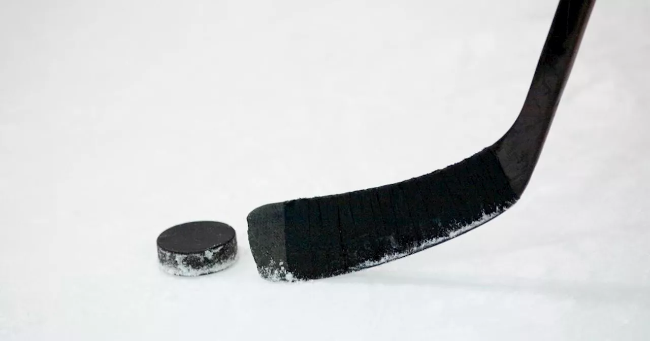 Long Island teen dies after collapsing at hockey game