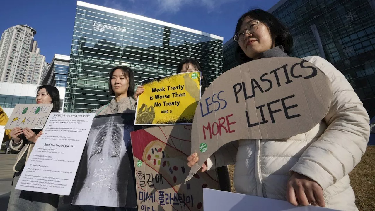 Activists and Nations Debate Plastic Production Limits at Busan Talks