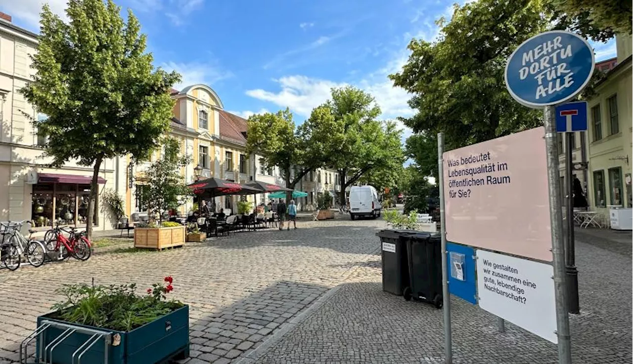 Mehr Innenstadt: verkehrsberuhigte Dortustraße bekommt neue 16 neue Bäume