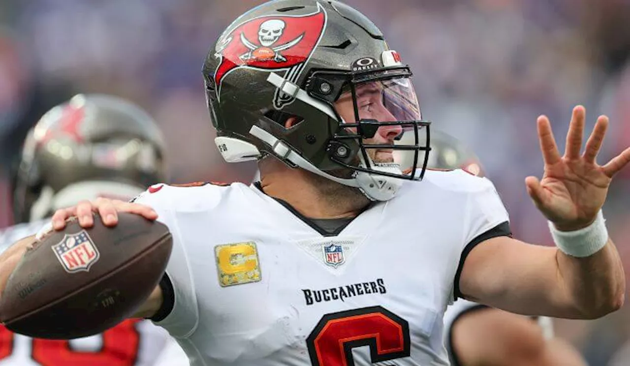 Buccaneers vs Panthers Predictions, Picks, and Best Bets for NFL Week 13