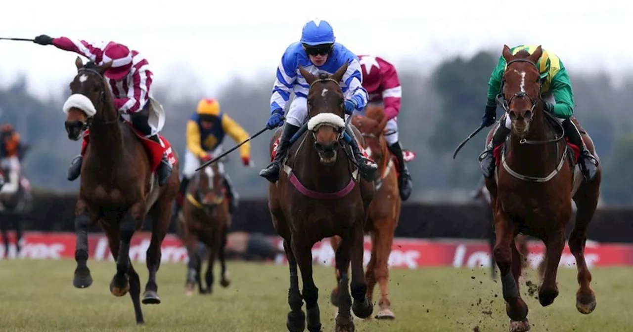 Fairyhouse racing tips and best bets as Heart Wood napped for glory