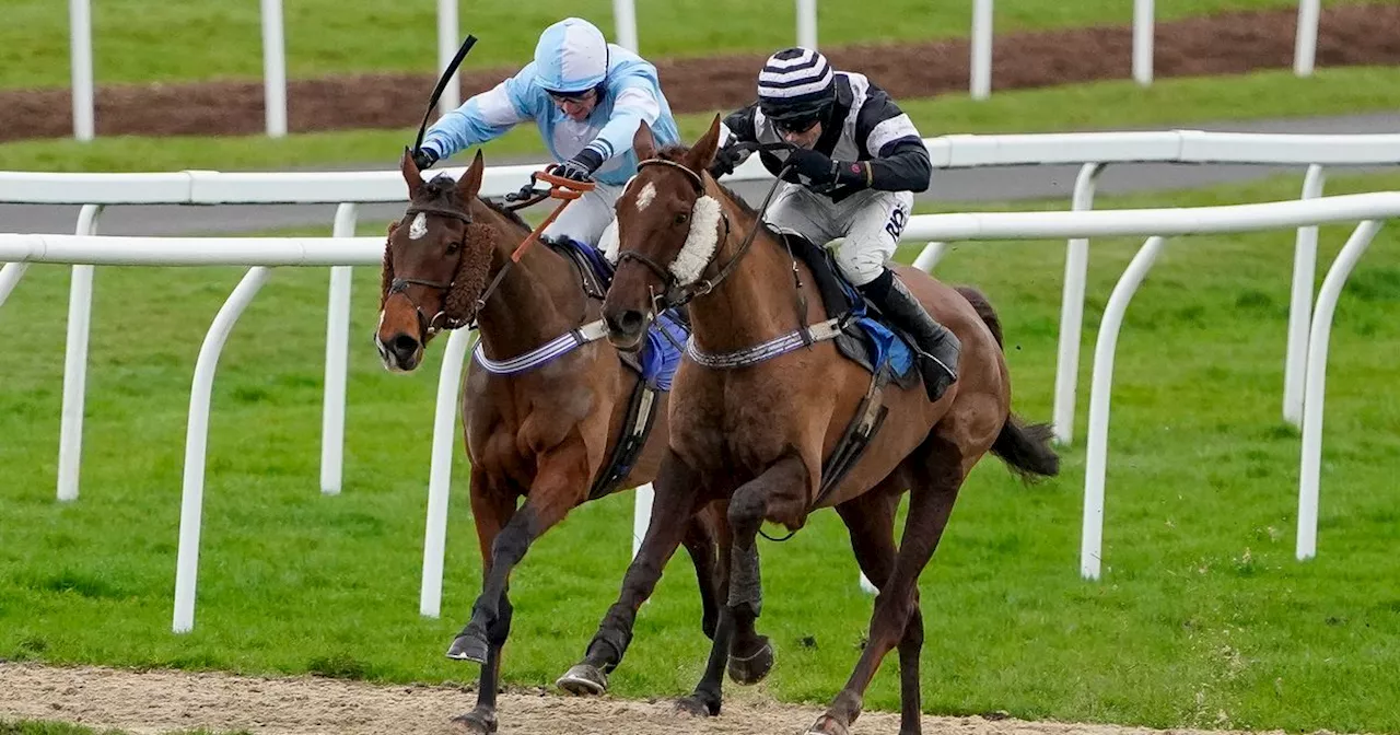 Sunday Racing tips and best bets for Fairyhouse, Carlisle and Leicester