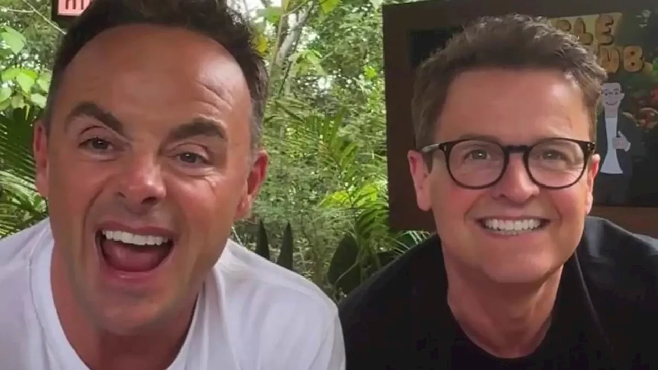 Ant McPartlin Faces Criticism for Sexist Comments on 'I'm A Celebrity' Producers