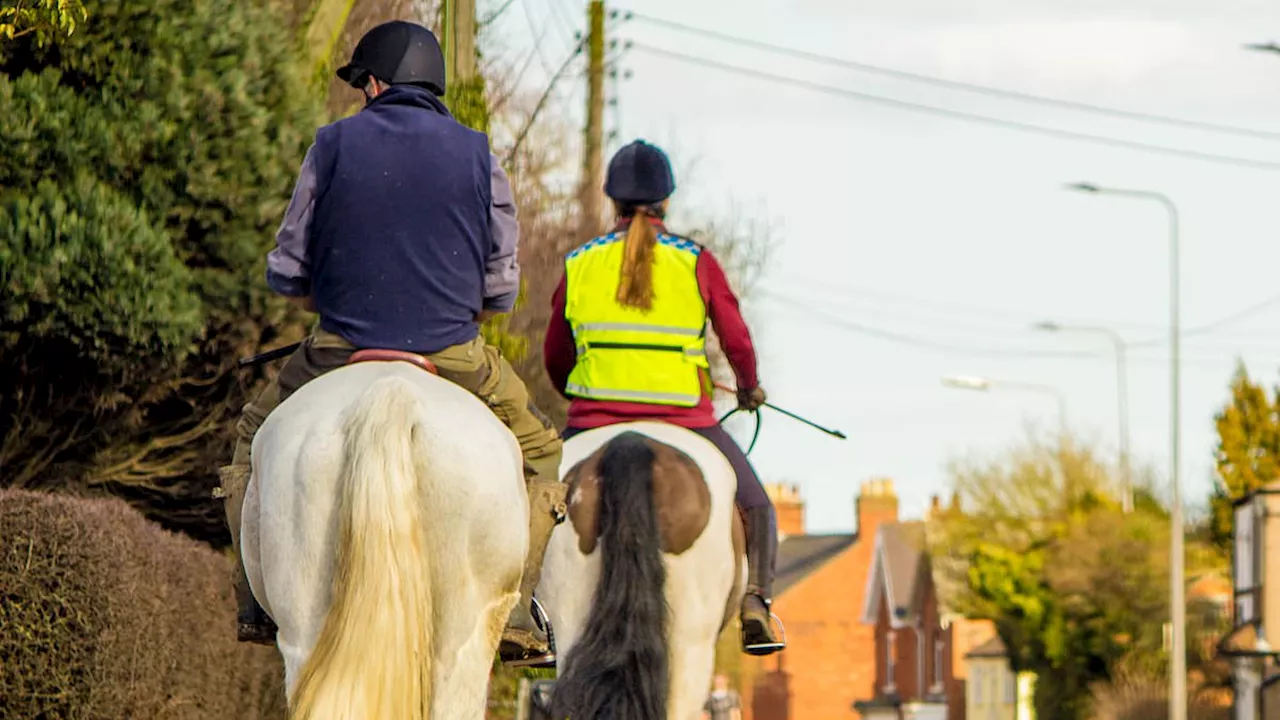 Police Apologize to Horse Rider Under Investigation for Calling a Man a Derogatory Term