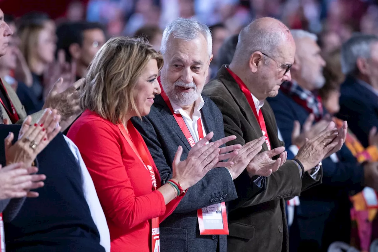 Terapia de grupo en el PSOE