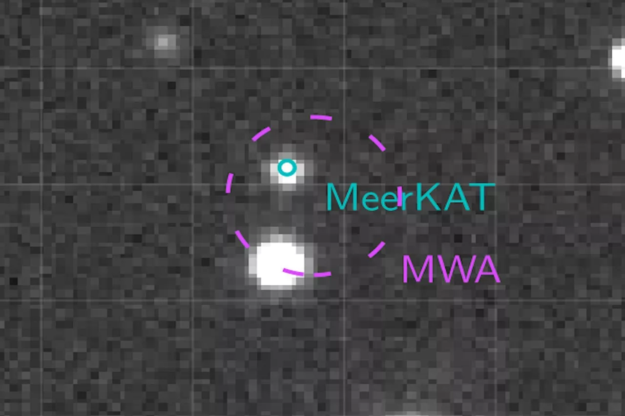 Mysterious Radio Signals Lead Astronomers to an Unlikely Cosmic Pair