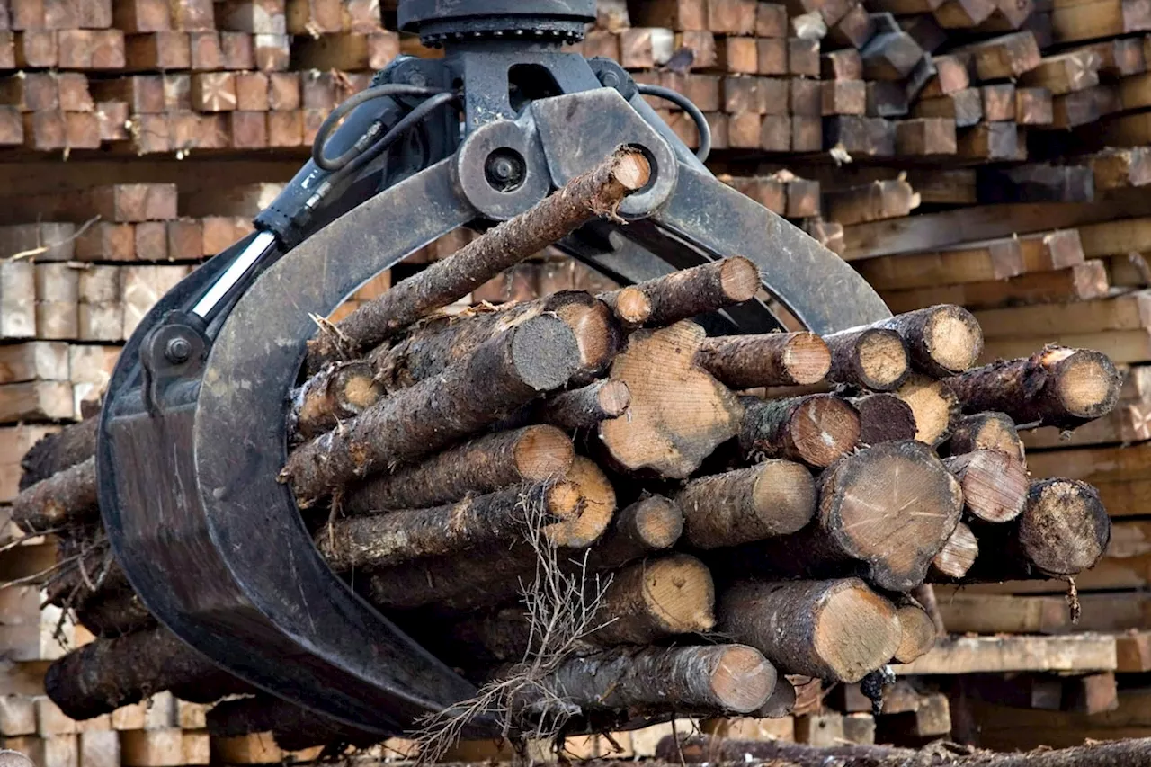 Trump tariff threat adds to pressure facing Quebec forestry industry, Legault says