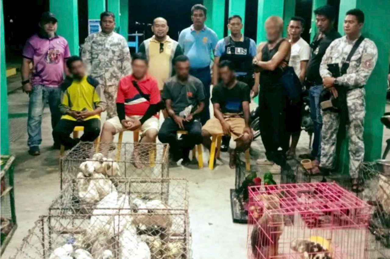 5 nabbed for alleged transport of endangered birds